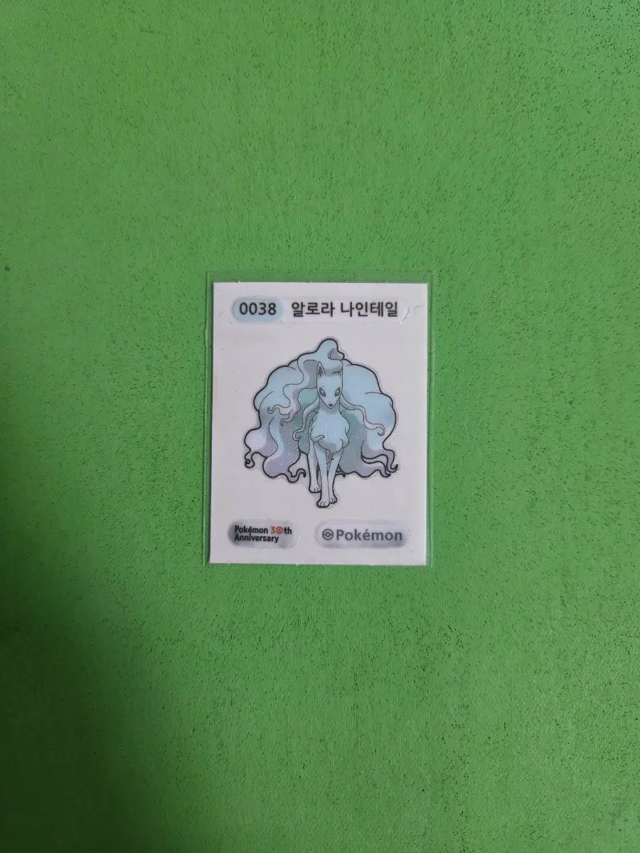 알로라 나인테일 띠부실