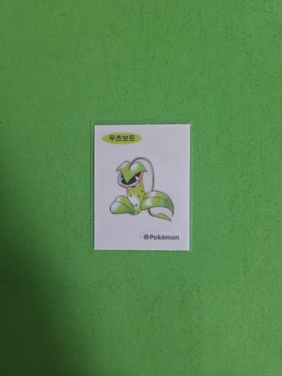 우츠보트 띠부실