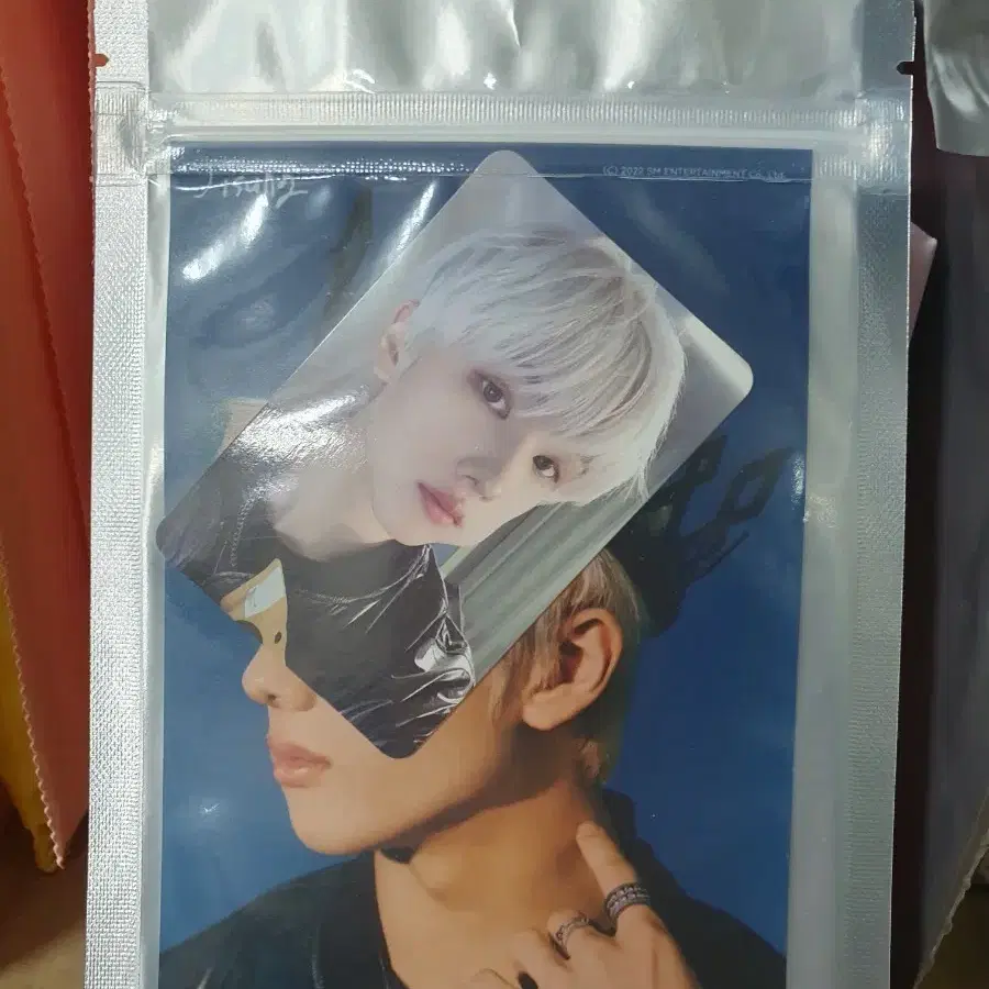 엔시티 인화 사진 지성