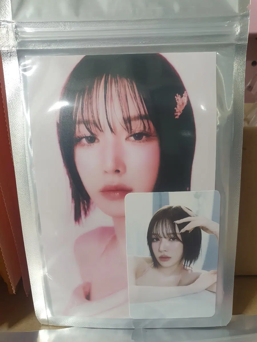 레드벨벳 인화 사진 세트 웬디