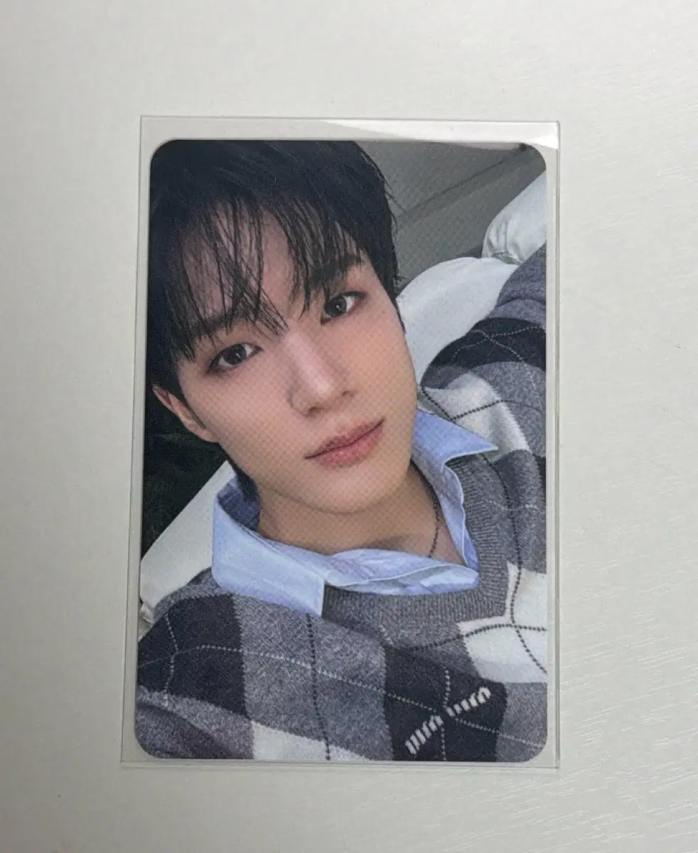 제노 미우미우 포카 양도 판매 nct 제노