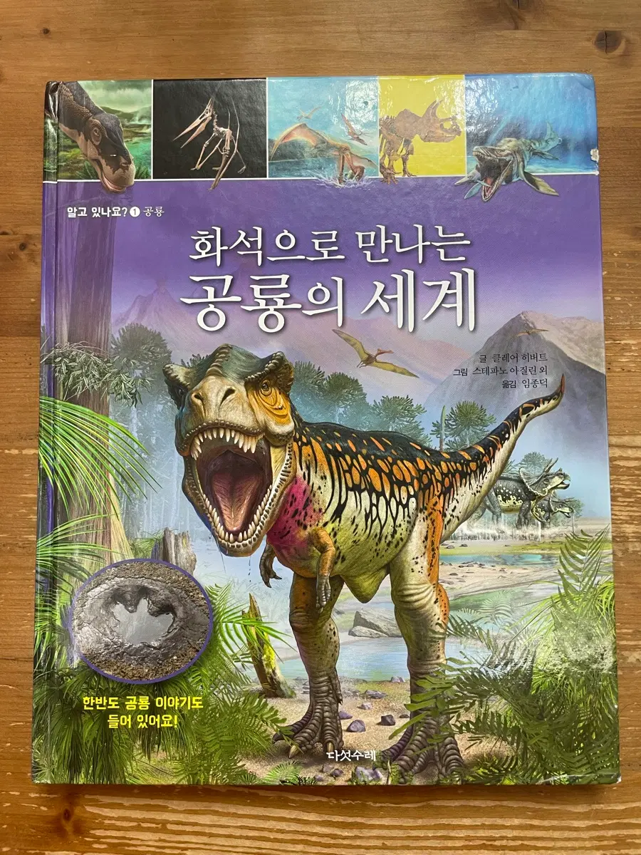 화석으로 만나는 공룡의 세계 - 클레어 히버트