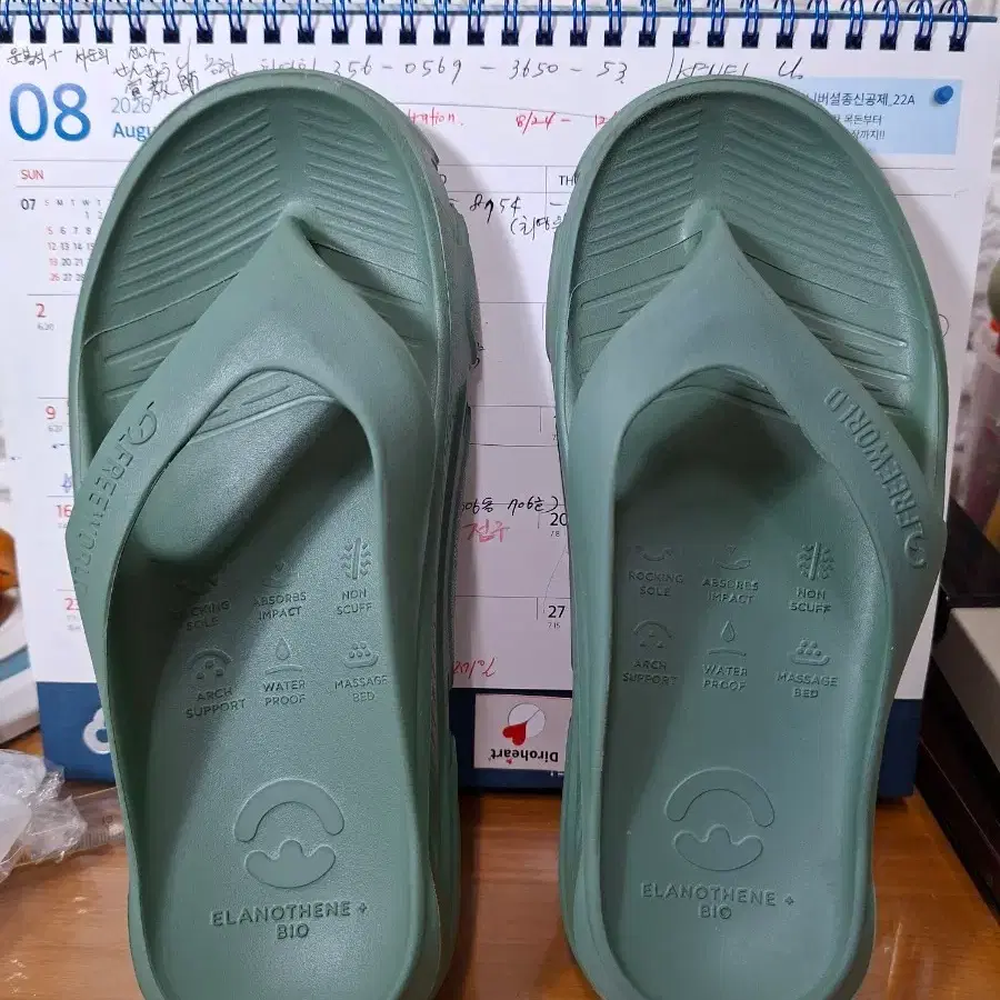 프리월드 샌들 그린