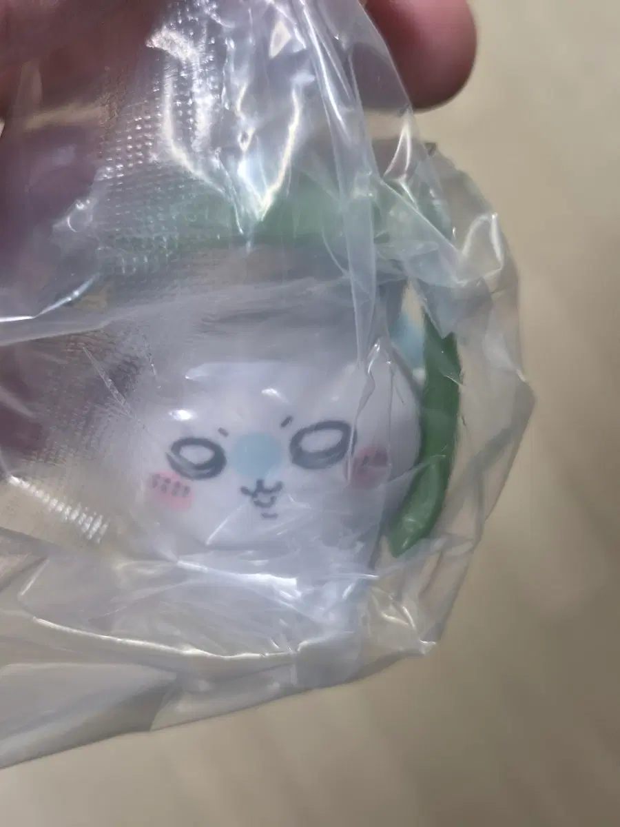 롯데시네마 우산먼작귀 모몽가