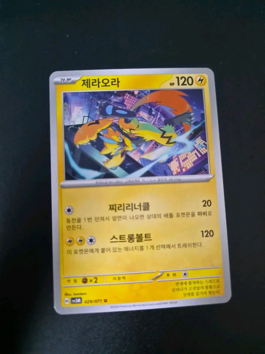포켓몬 카드 제라오라