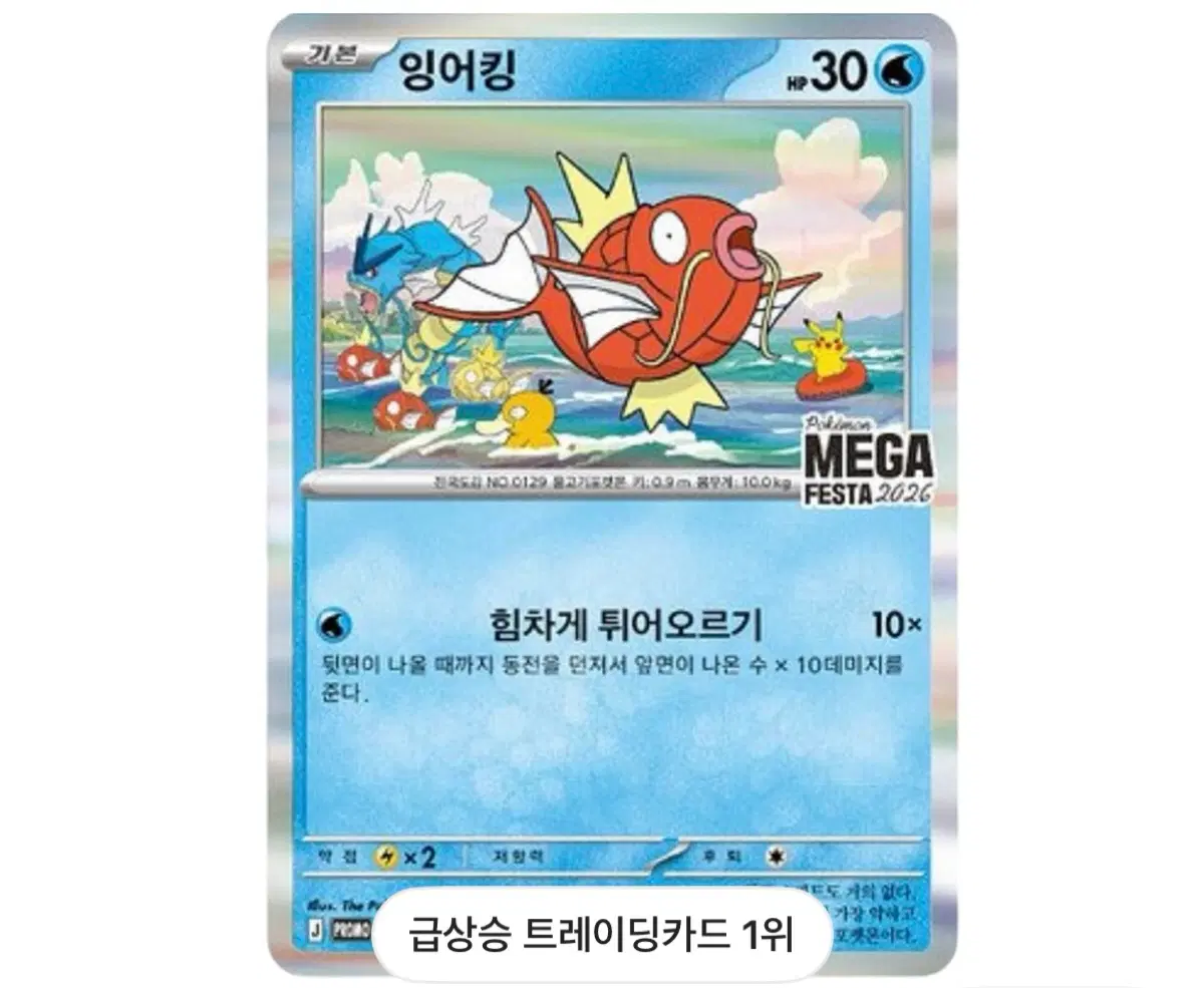 포켓몬스터 잉어킹 프로모 미개봉