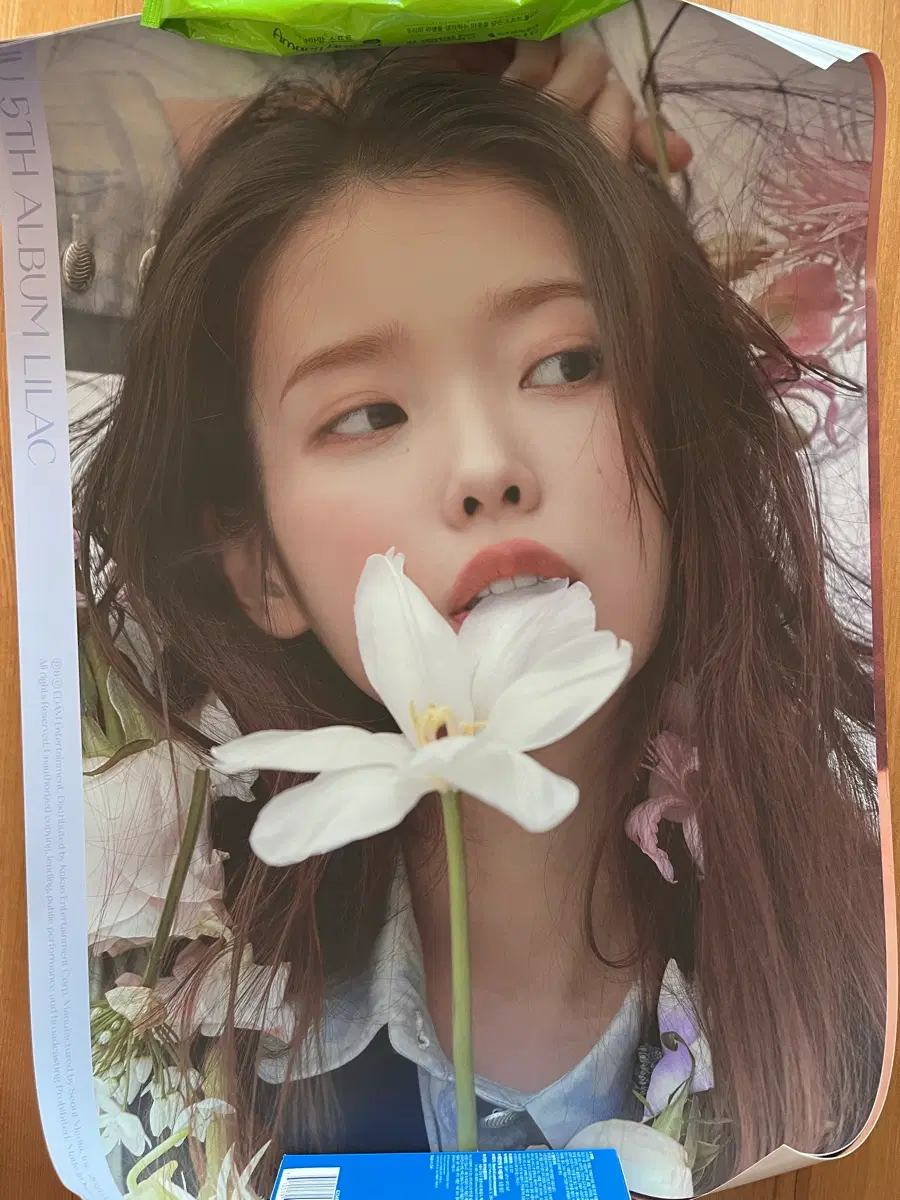 아이유 포스터