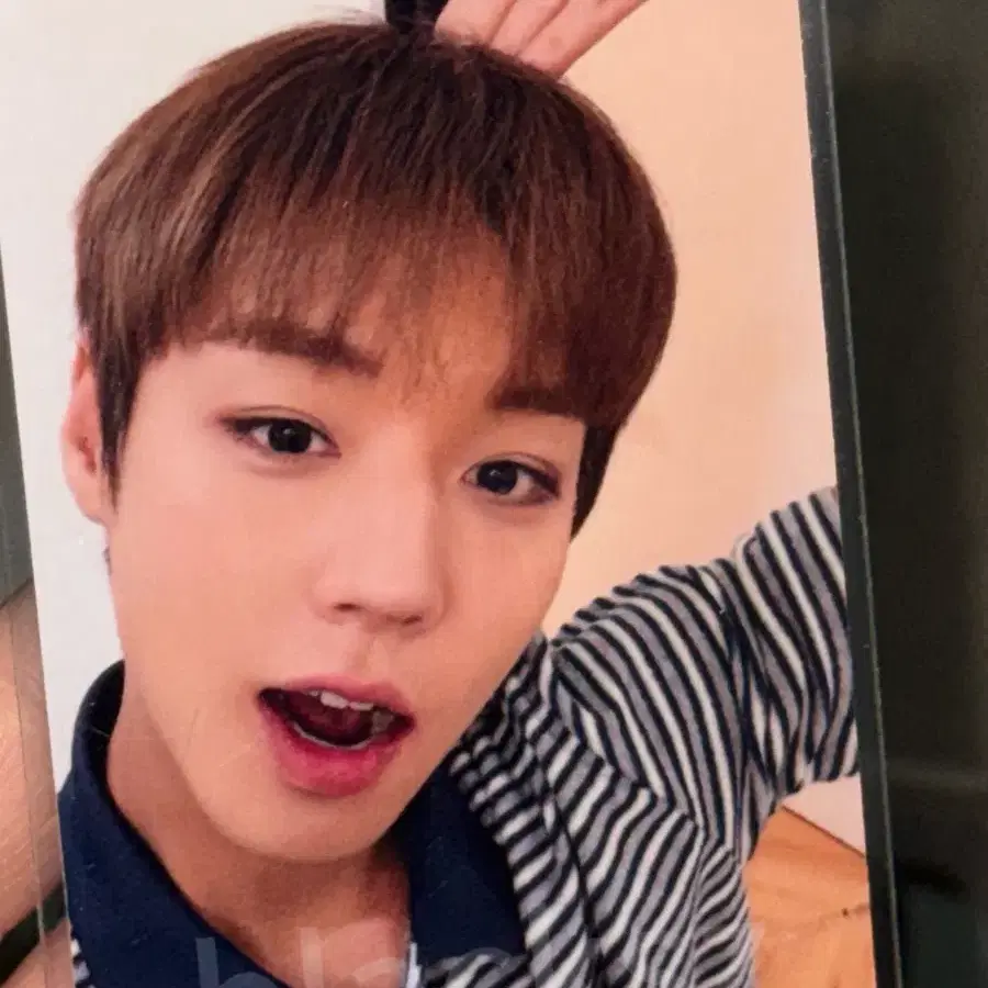 박지훈 마카오 팬콘 포카