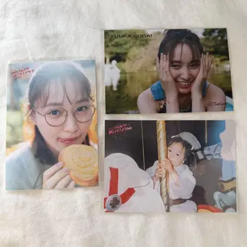 스가이 유카 모두 함께 즐겁게 살자회 생사진 등
