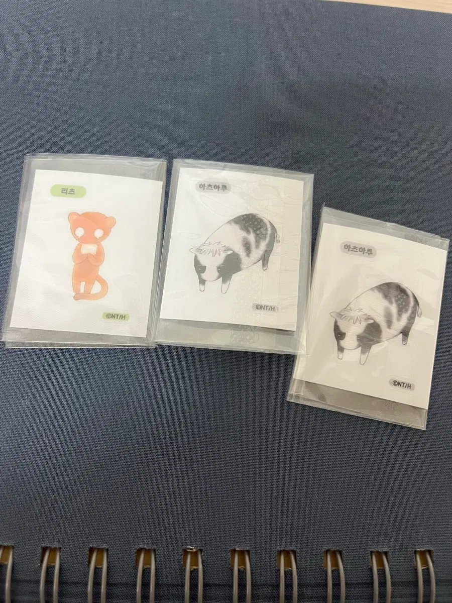 후르츠바스켓 띠부씰