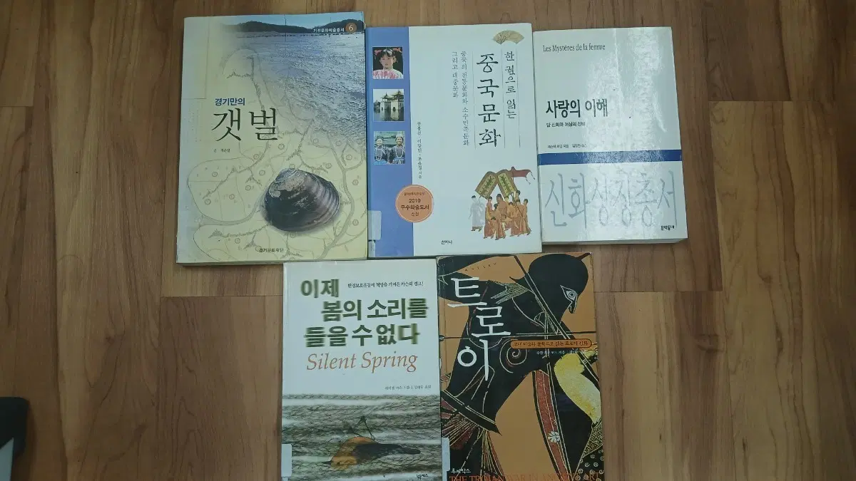 경기만의 갯벌, 중국문화, 사랑의 이해, 트로이, 이제 봄의 소리를 들을수없다