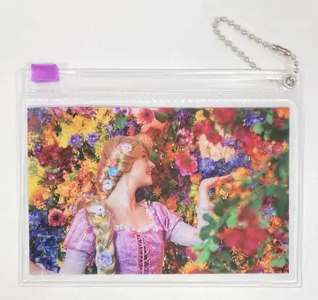 도쿄 디즈니 리조트 슬라이드 지퍼 케이스 Imagining the Magic 라푼젤/Fantasy Springs