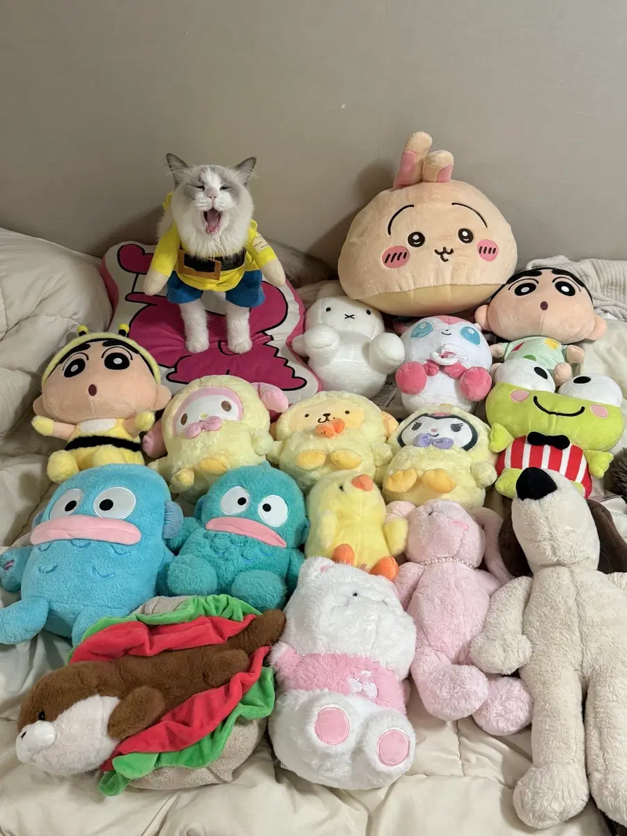 소품샵 정품인형 급처