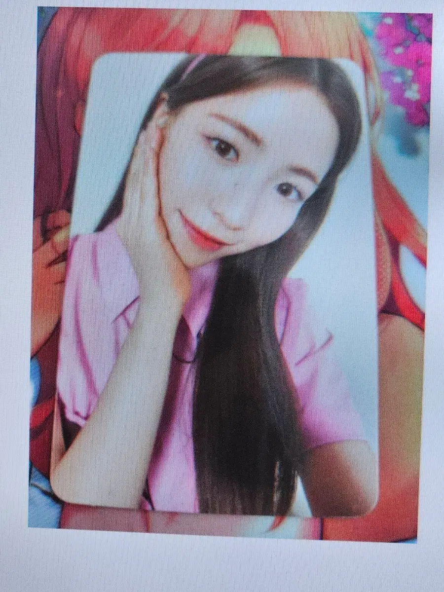 니쥬 미야 공방 포카 양도