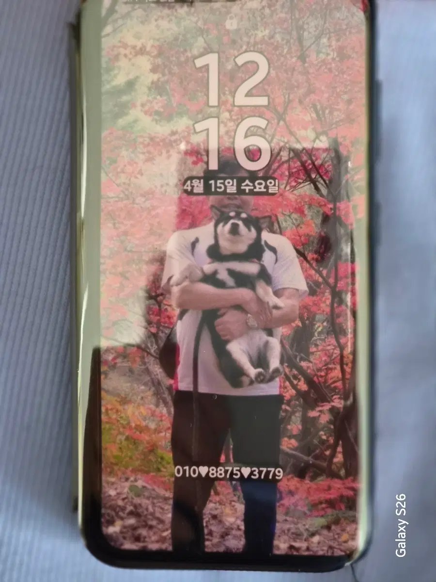 갤럭시 s23 케이스 2종 일괄 판매합니다