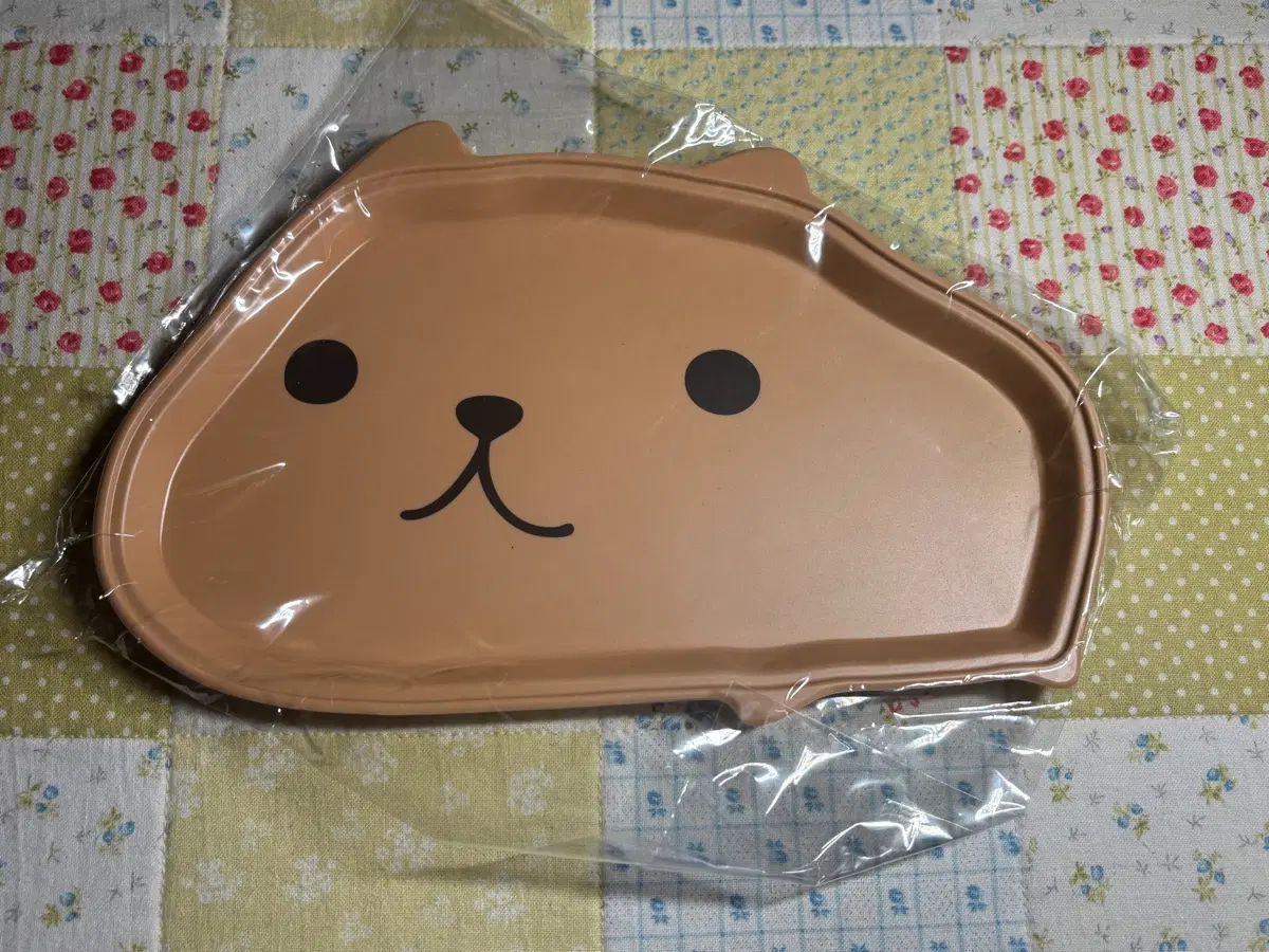 카피바라상 트레이