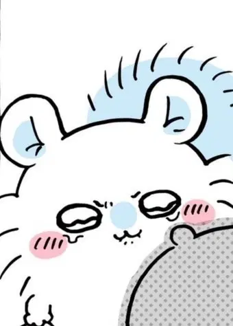 모몽가 교환