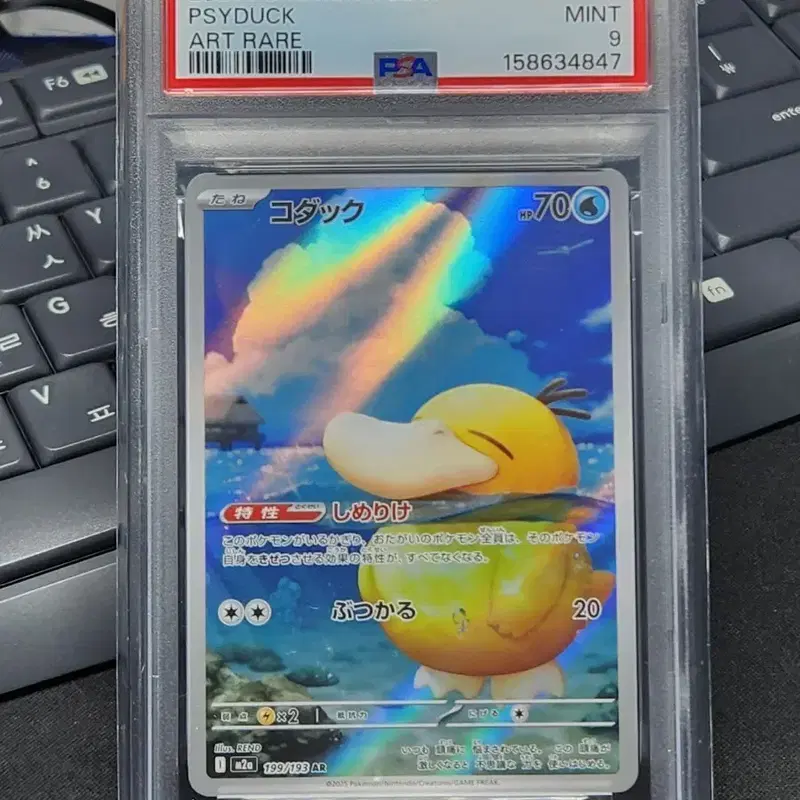 포켓몬카드 일판 고라파덕 psa9
