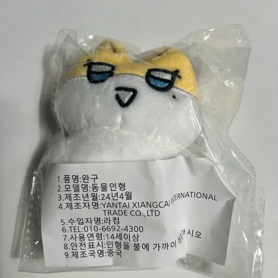 짱레이브 노아