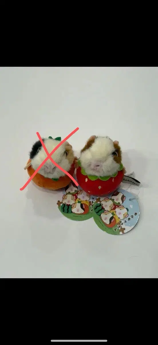 모루못토상 인형 2종 팔아요