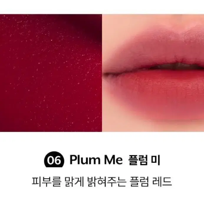 단종 누즈 틴트 플럼미