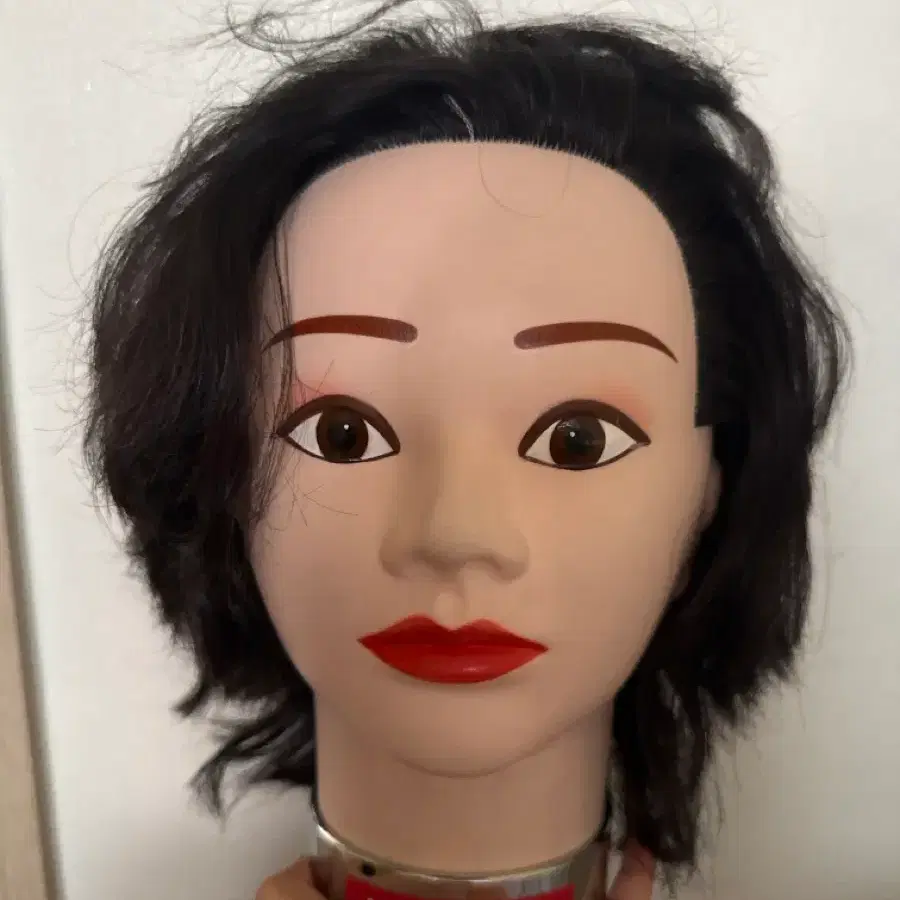 헤어 국가자격증 유니폼 가발입니다. 탑 13cm