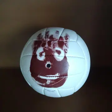 캐스트 어웨이 윌슨 공 cast away 톰 행크스