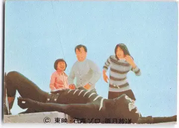 카루비 제과 [ 구 가면라이더 카드 ] T판 [ 이종 ] [ 쇼커의 전투원이 쓰러져 있다. ] 168