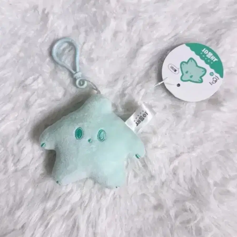 몰라리 쪼꼬미 불가사리 민트키링