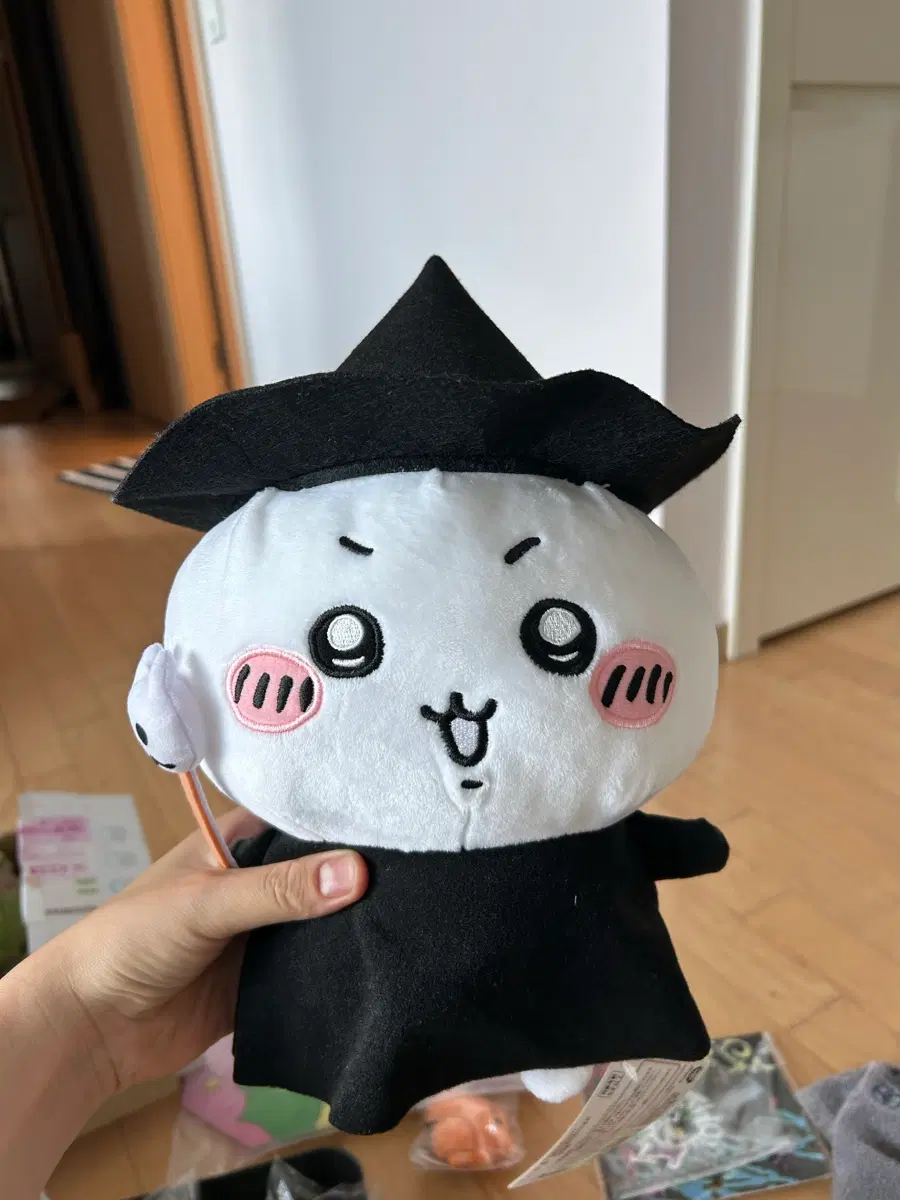 치이카와 빅누이