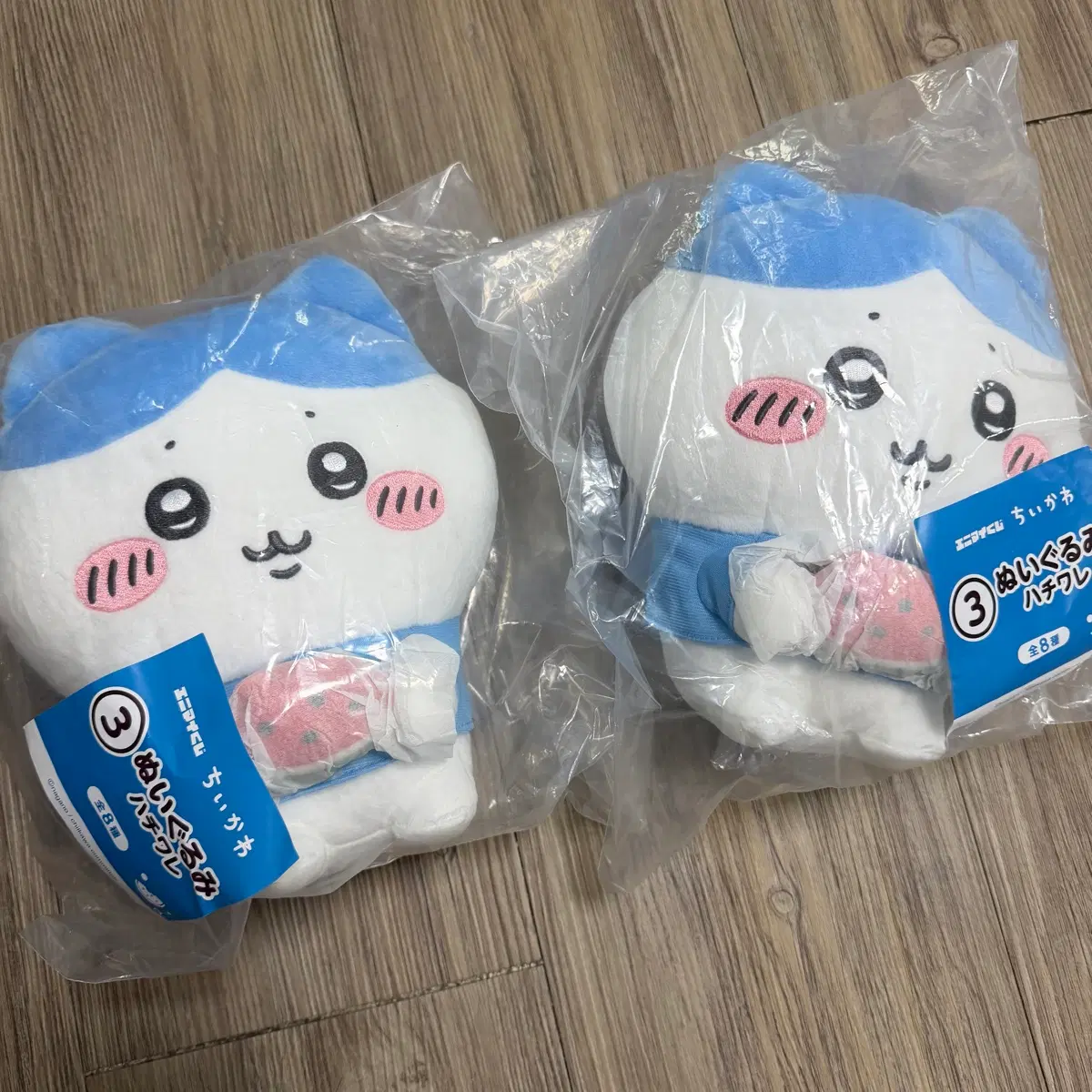 치이카와 여름쿠지 교환(하치와레->우사기)