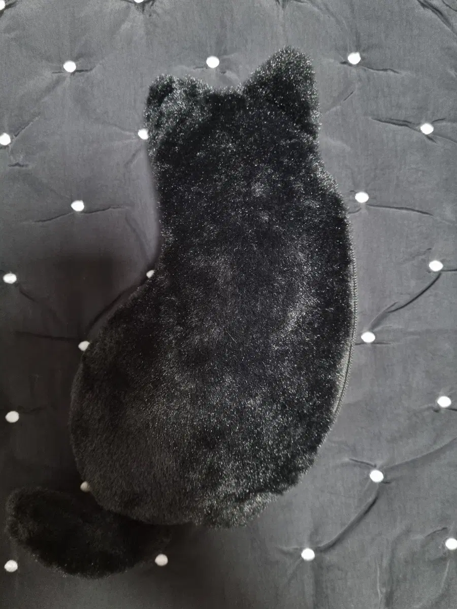 고양이 필통