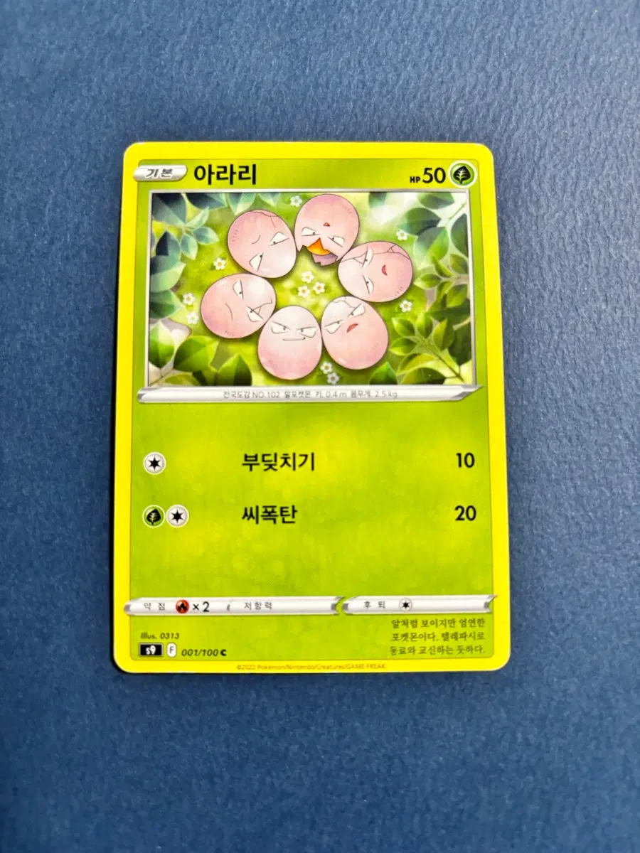 포켓몬카드 아라리 일반카드 도감용 덱소스 s9 001/100