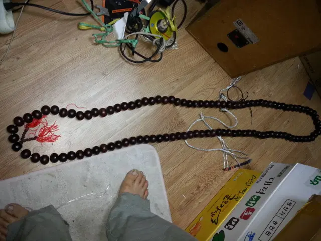 108염주 나무