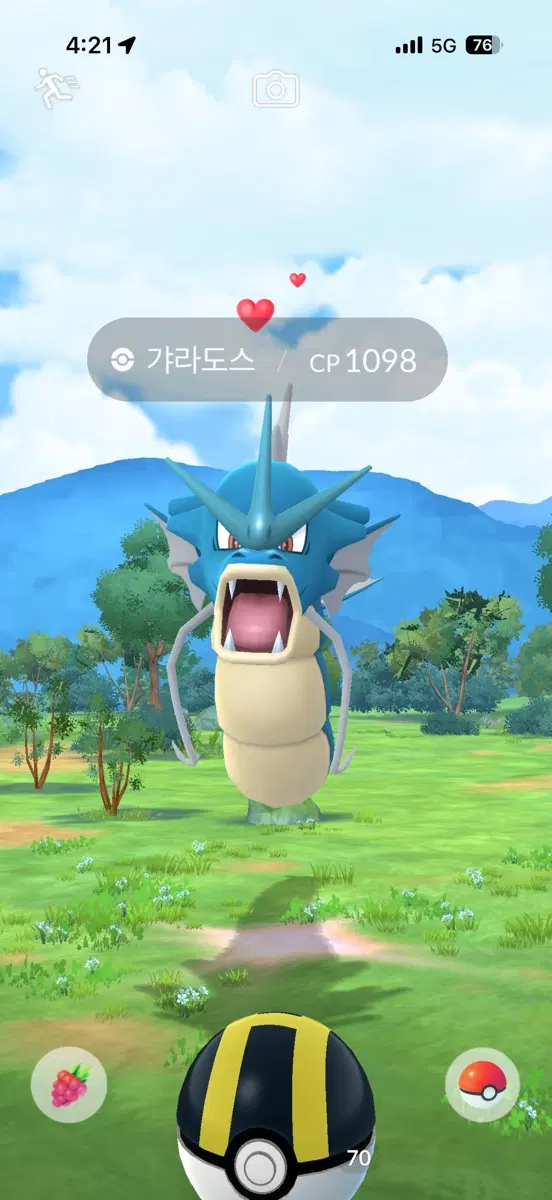 포고 검왕