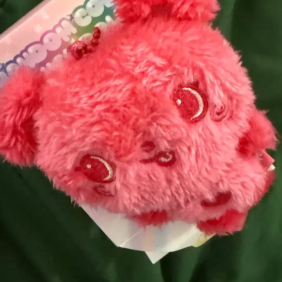 컬러 위시돌 팡이