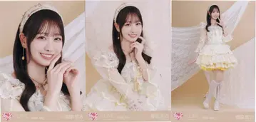 =LOVE 2026년 7월 랜덤 브로마이드 타키와키 쇼코 2026 July (8주년 투어 의상2) 3종 컴프