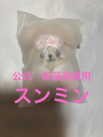 승민 봉제 인형 10개 stray kids 파피무 skzoo