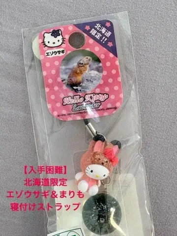 홋카이도 헬로키티 에조토끼 마리모 스트랩 hellokitty 일본
