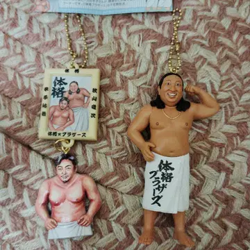 체격 브라 2세트