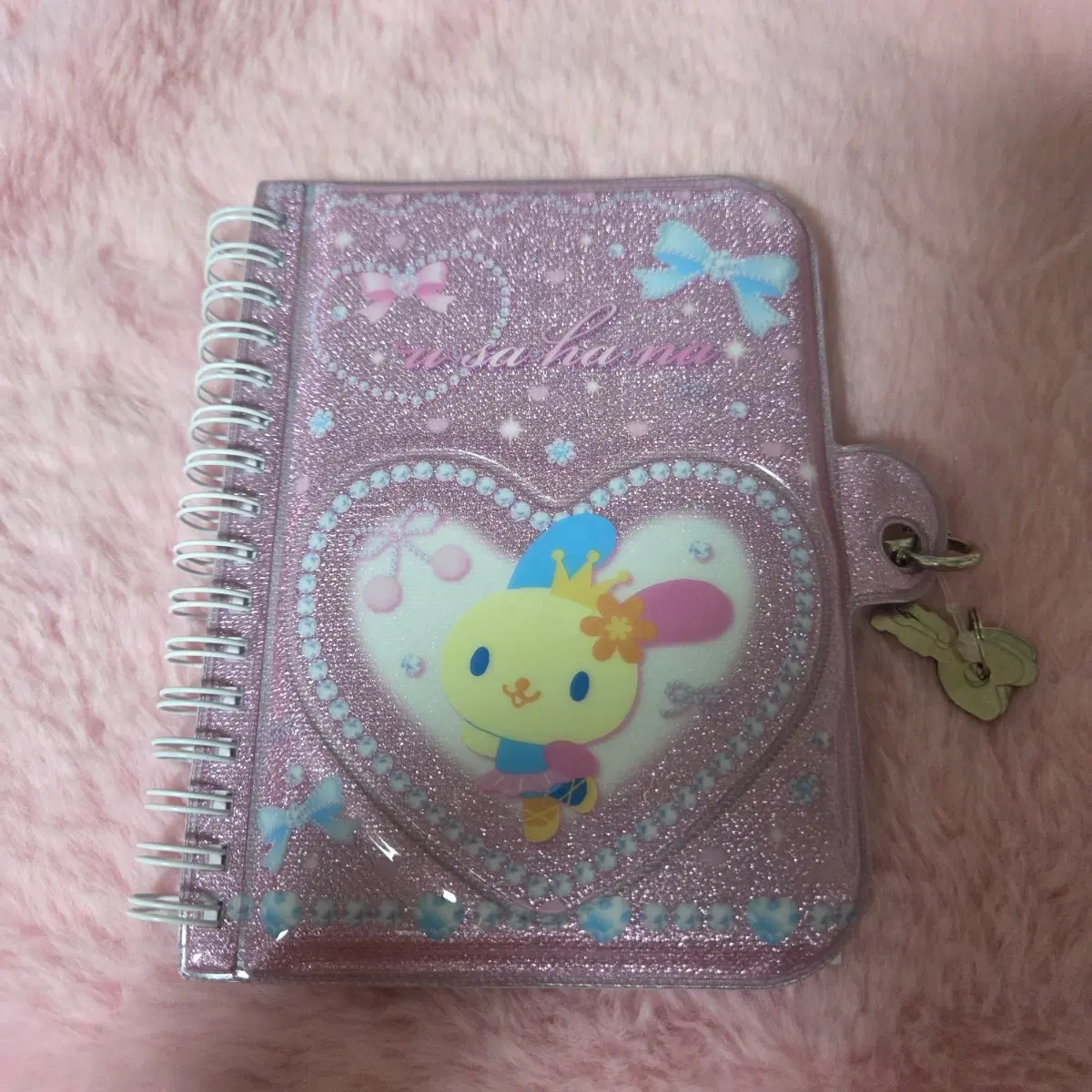 우사하나 메모장