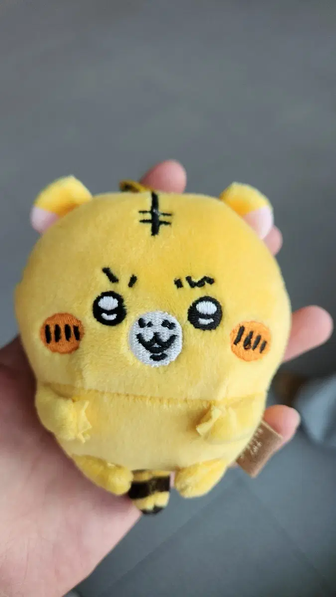 나가노 호랑이 키링