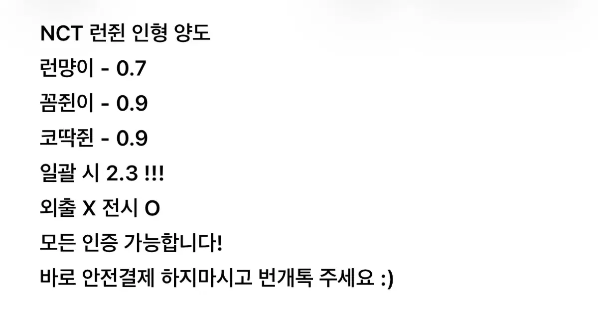 엔시티 드림 NCT DREAM 엔드림 런쥔 인형