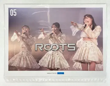 안쥬르므 10th ANNIVERSARY TOUR 2024 AUTUMN [ ROOTS ] 카와무라 아야노 FINAL 집합 컬렉션 핀업 포스터 5