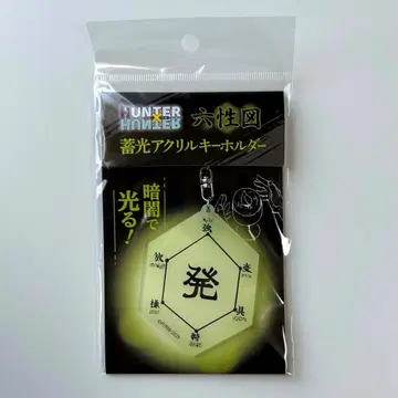 HUNTER x HUNTER 축광 아크릴 키링 육성도