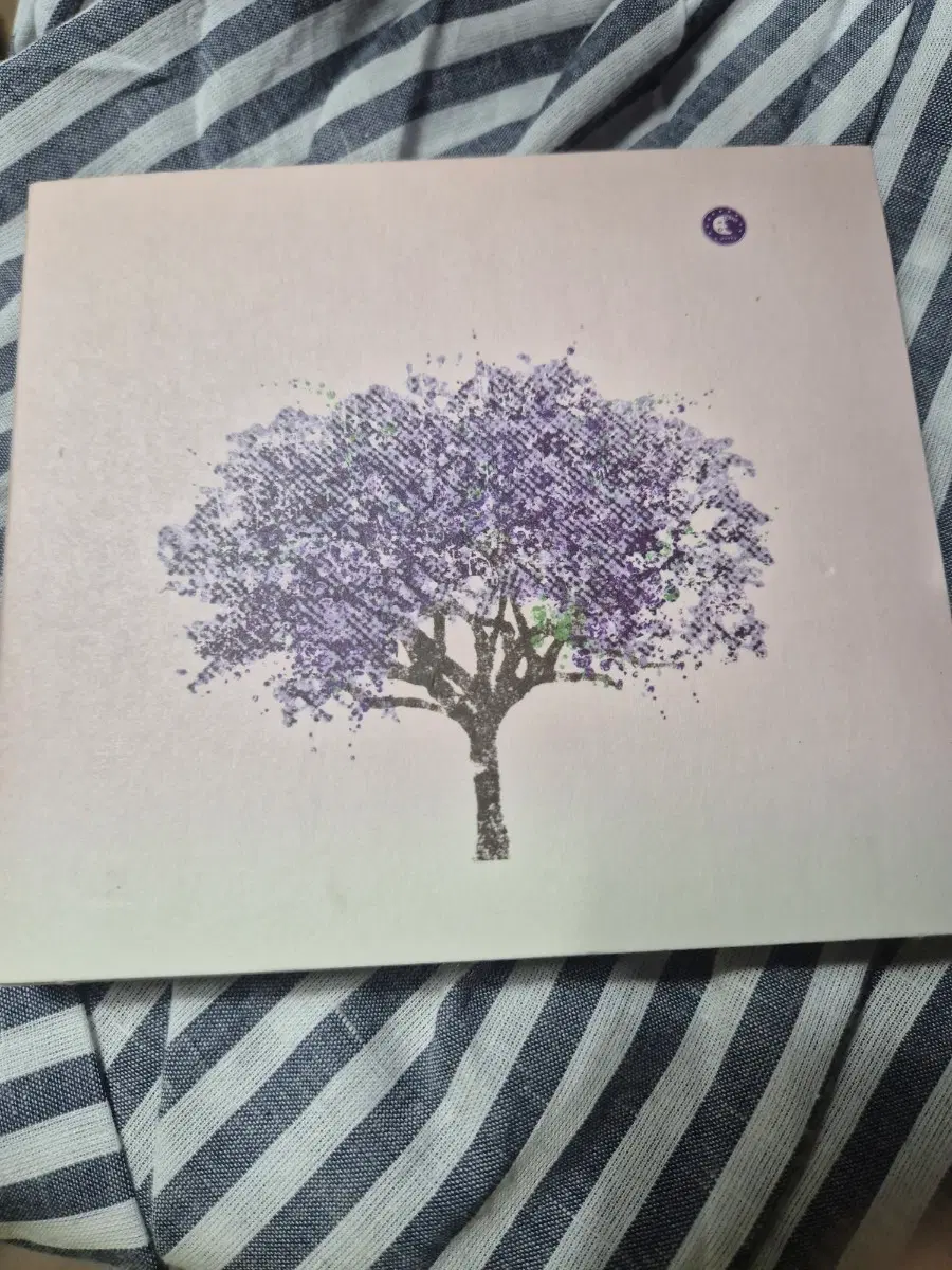 eels (tomorrow morning)2cd 음반시디