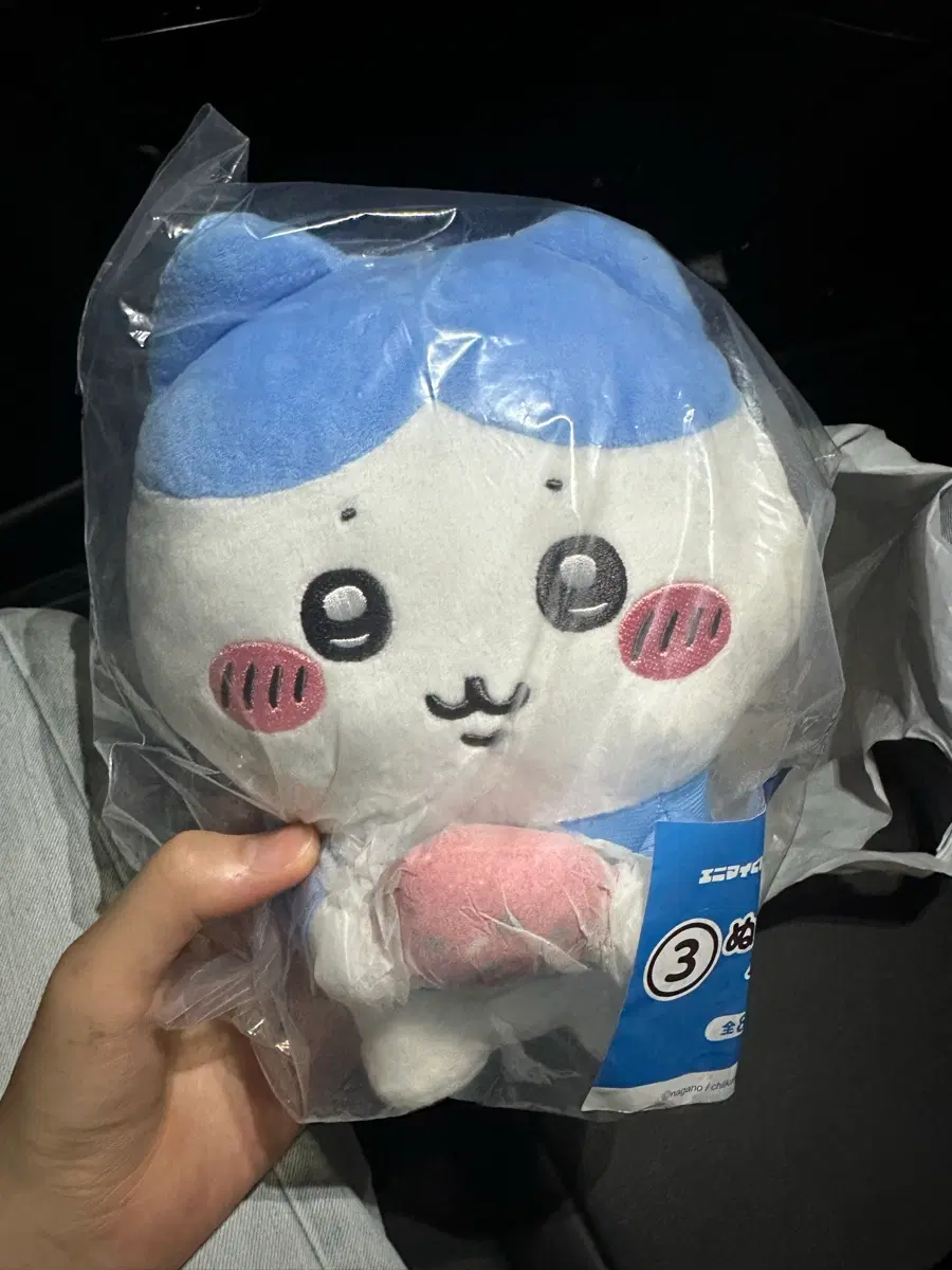 치이카와 여름추억 하치와레 우사기 , 랏코로 교환