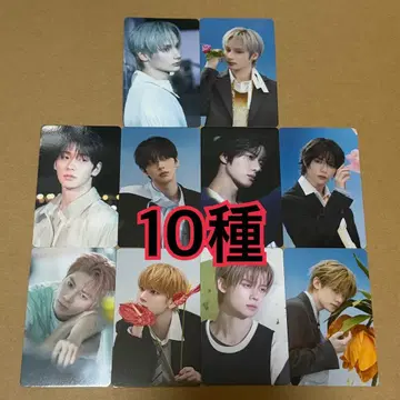 TXT 트레이딩 카드 10종 타워 레코드 HMV 세츠나하비 17