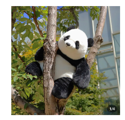 (희귀템) 푸바오 안아줘 인형 (현재 단종)