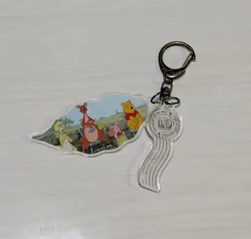곰돌이 푸 아크릴 키링